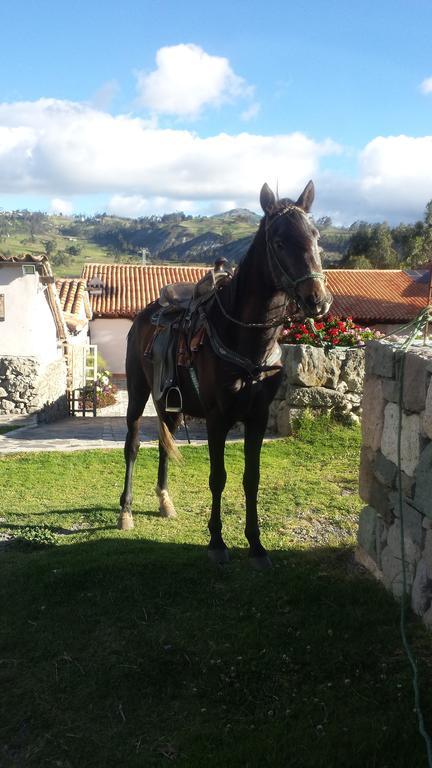 Hosteria La Condesa Honorato Vásquez Dış mekan fotoğraf